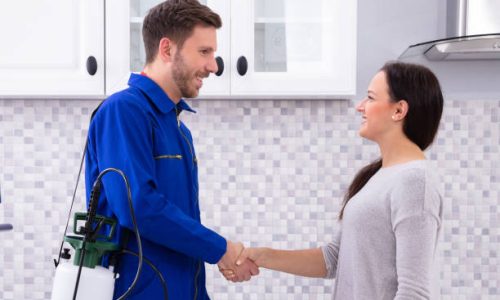 Male Pest Control Worker Shaking Hands With Happy Woman In Kitchen